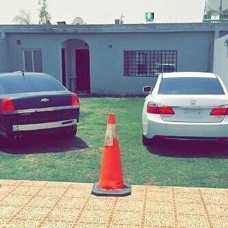صورة الألبوم
